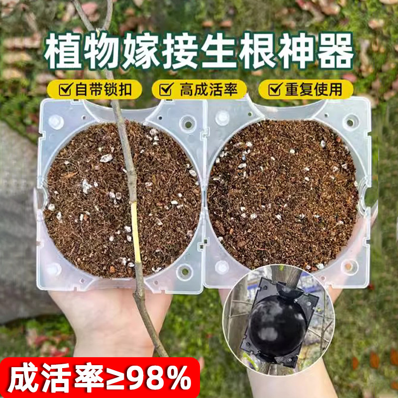 植物高压繁殖嫁接盒花卉果树控根神器扦插枝繁殖球生根育苗繁殖器