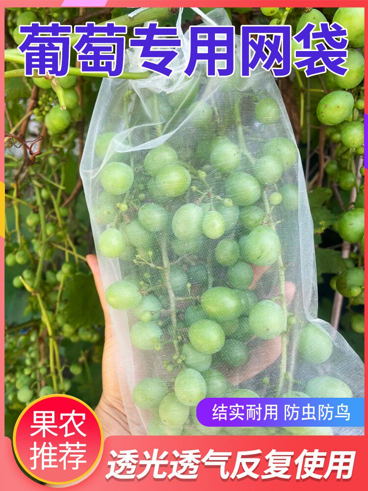 葡萄专用套袋水果保护袋子防虫防鸟神器网纱袋果子草莓保护袋户外