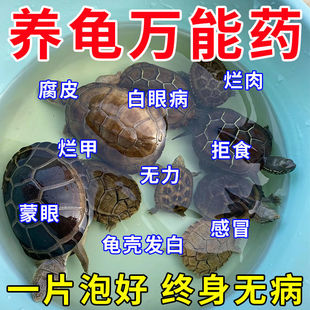 乌龟白眼病肺炎肠炎腐皮烂甲乌龟生病白斑龟药浴全能护龟宝