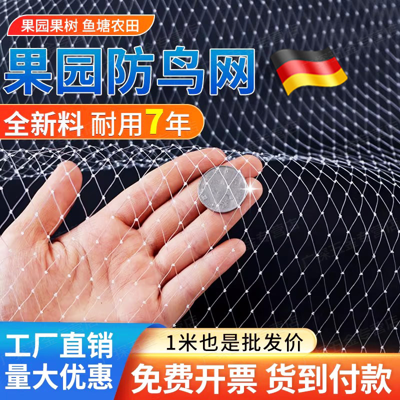 防鸟网果园果树大棚尼龙网樱桃树葡萄园防护网防鸟专用网鱼塘天网
