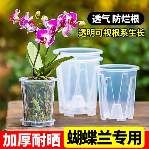 透明控根盆蝴蝶兰花盆专用兰水苔塑料透气镂空大号家用青山盆