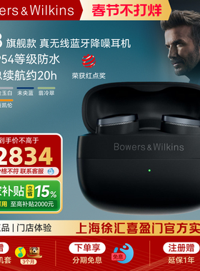 新年礼物B&W宝华韦健旗舰新品PI8入耳式真无线蓝牙降噪耳机