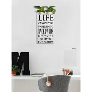 欧式创意挂墙木板装饰水培植物玻璃花瓶花器家居背景墙软装挂件