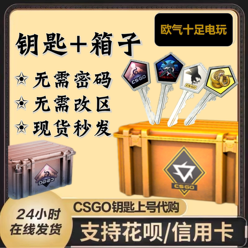 秒到/CSGO钥匙箱子/胶囊/通行证