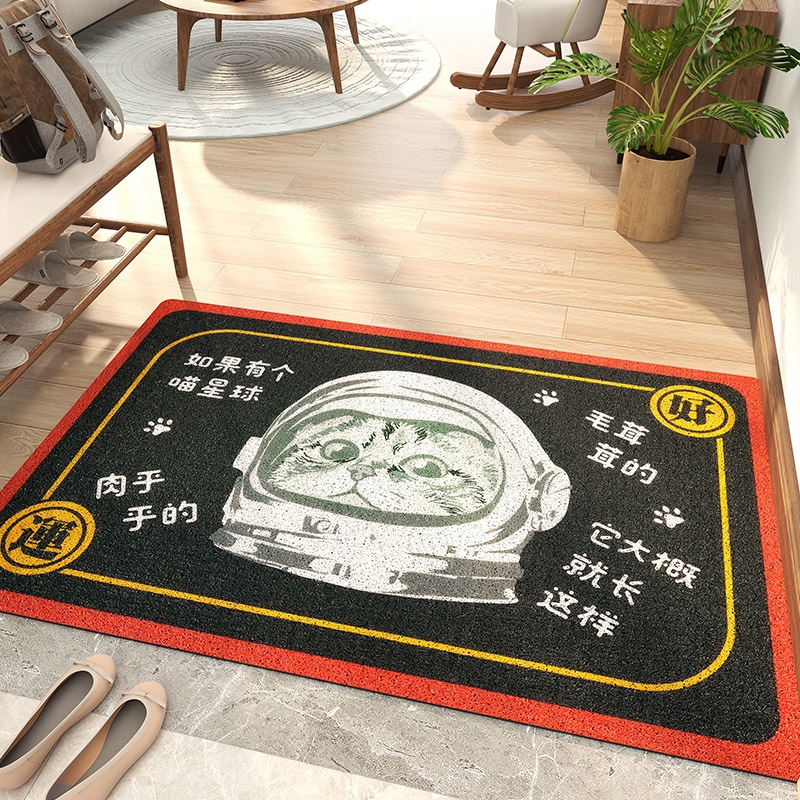 新品Entrance floor mat stain-resistant floor mat entrance ca