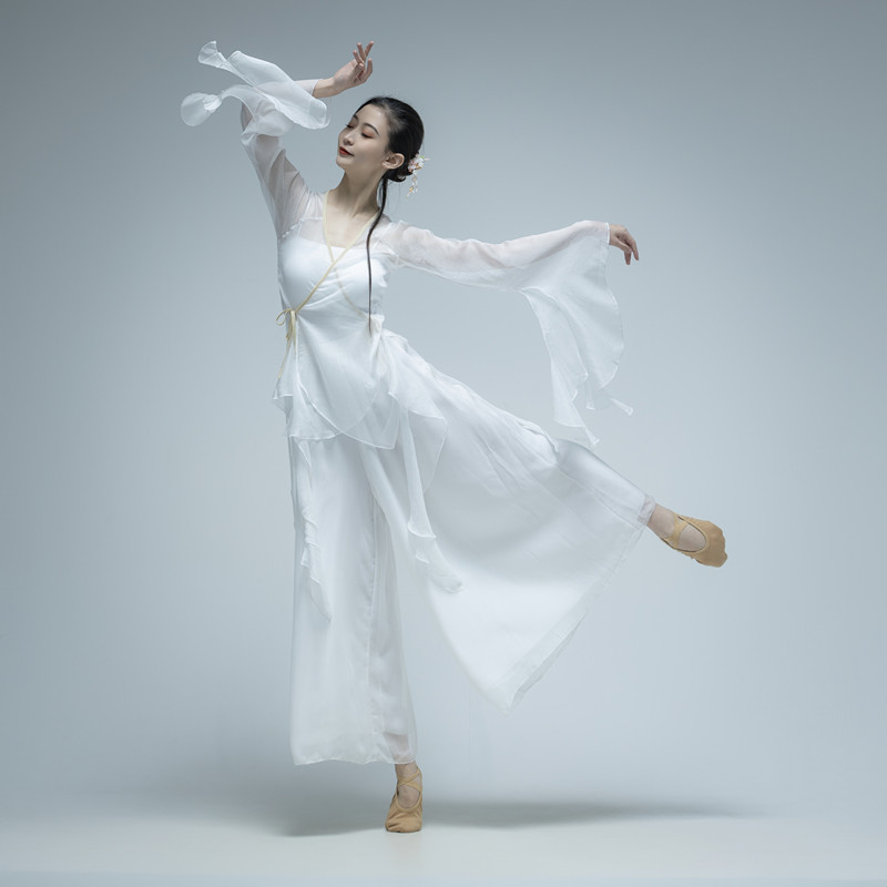 古典舞蹈服女中国舞身韵舞蹈纱衣