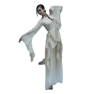 新款古典舞纱衣上衣身韵练功服阔腿裤飘逸女中国舞蹈服演出服装