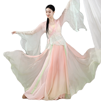 古典舞演出服女飘逸仙气古风纱衣女飘逸基训练功服中国舞蹈演出服