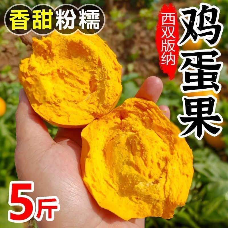 新鲜鸡蛋果蛋黄果云南特产