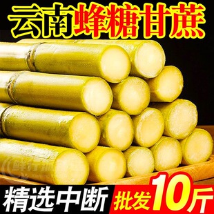 廣西黃金甘蔗9斤當(dāng)季 包郵 新鮮脆甜黃皮甘蔗中段熱帶水果正宗特產(chǎn)