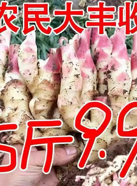 正宗红芽嫩姜9斤新鲜生姜农家仔姜嫩子姜云南小黄姜带芽鲜姜种