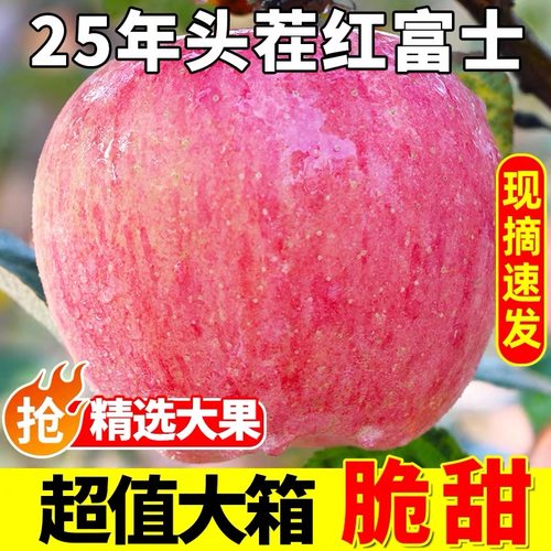 25年陕西红富士苹果2斤新鲜水果当季整箱包邮脆甜丑苹果早熟富士