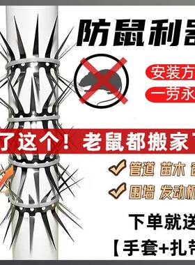 广东不锈钢防鼠爬刺10年不生锈