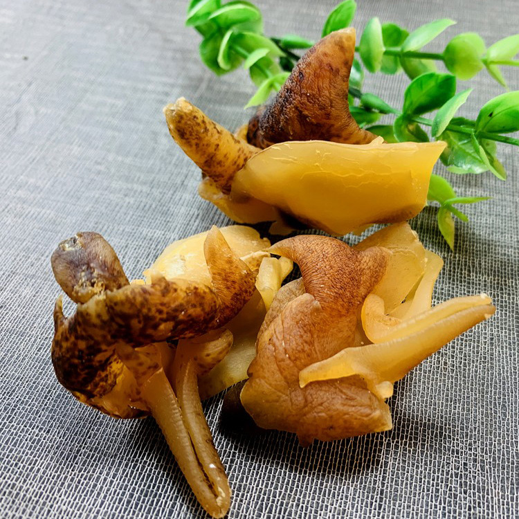 福影优选大号海螺肉响螺肉！！