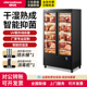 鼎百牛肉熟成柜乾湿式 商用家用牛排西餐厅排酸风冷保鲜冷藏冷冻柜