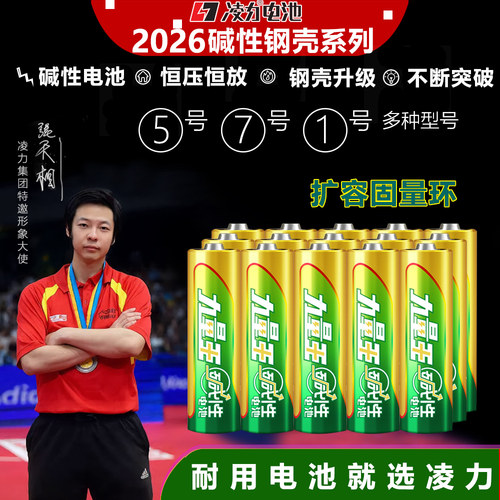 智能门锁空调电视遥控器电池碱性