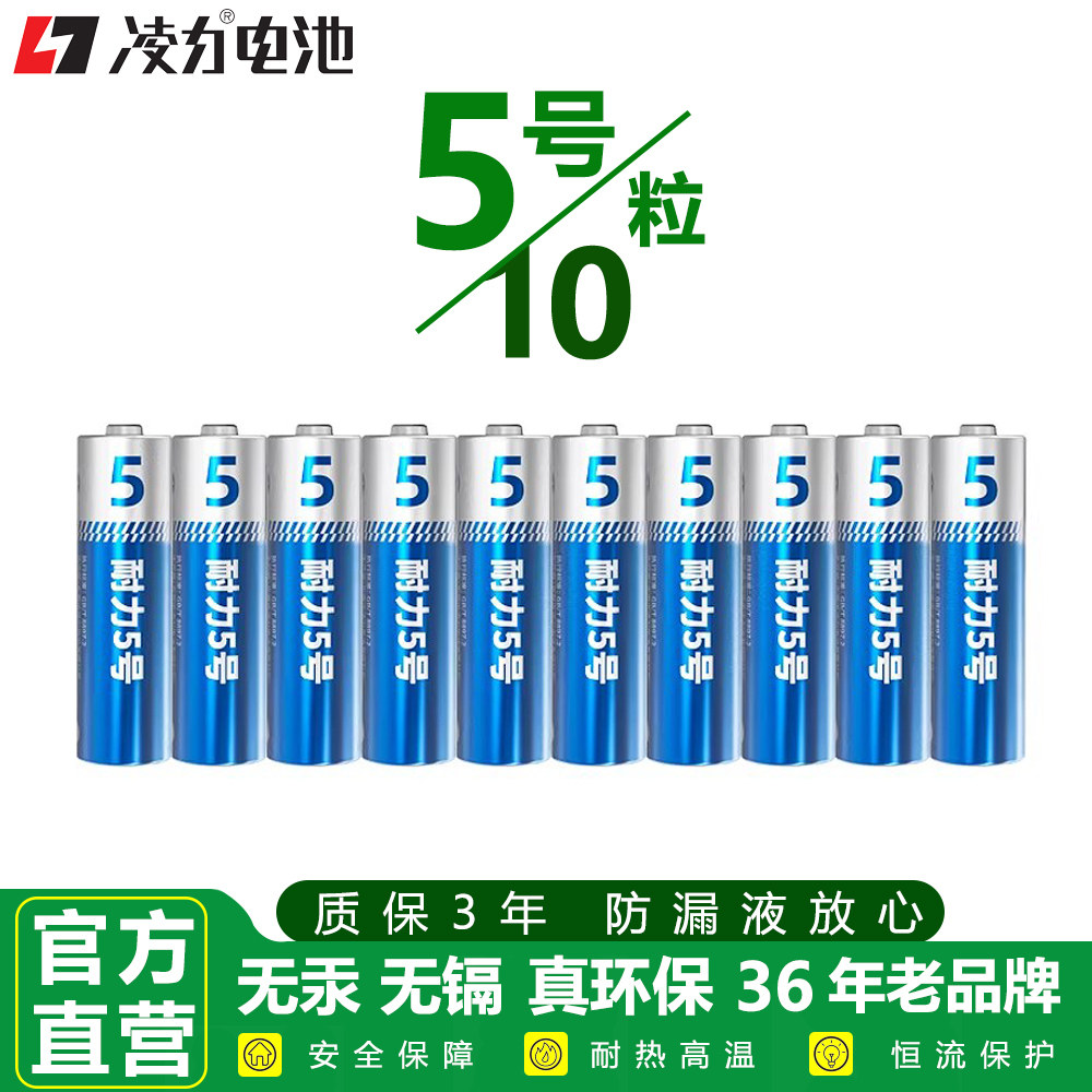 智能电门锁碱性电池 燃气表电池 凌力耐力5号10粒AA一板真钢壳扩容酒店门锁通用专用 稳定恒压碱性电池
