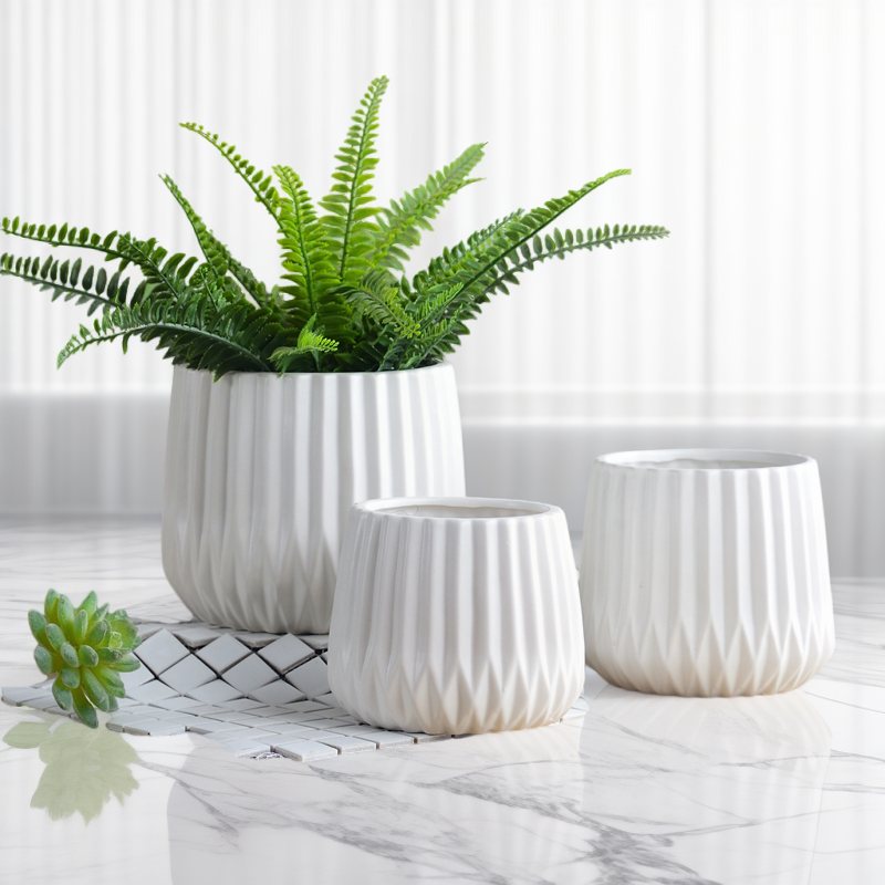 水培容器简约风格陶瓷材质