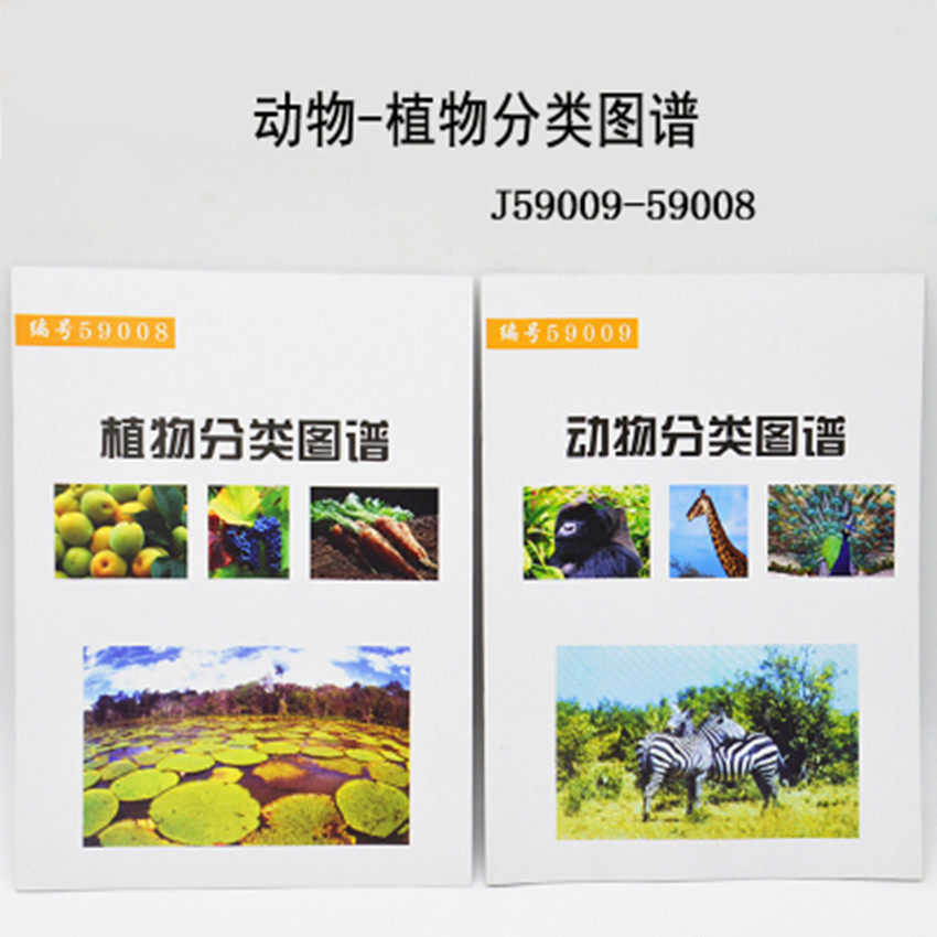 59008/9动物/植物分类图谱生命科学图谱小学科学实验器材教学仪器