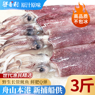 舟山整只冰鲜鱿鱼新鲜枪乌贼鲜活冷冻铁板烧烤大鱿鱼食材海鲜水产