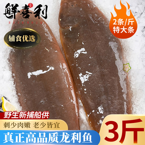 【特大2条/斤新捕船供】龙利鱼