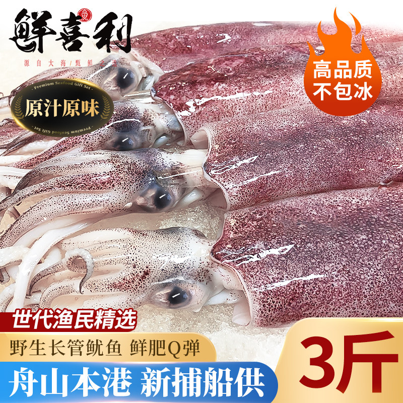 舟山整只冰鲜鱿鱼新鲜枪乌贼鲜活冷冻铁板烧烤大鱿鱼食材海鲜水产