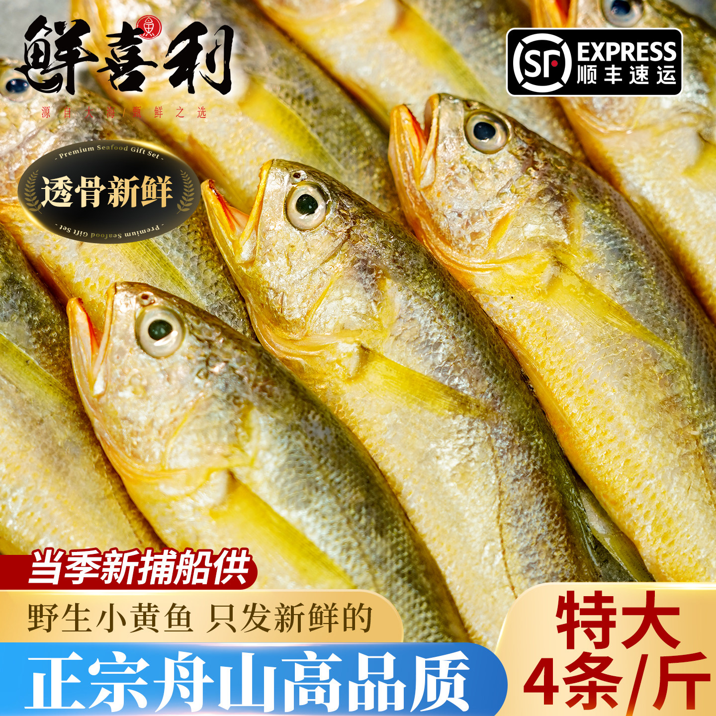 真正舟山小黄鱼新鲜冷冻深海海鲜水产黄花鱼生鲜冰鲜海鱼商用烧烤
