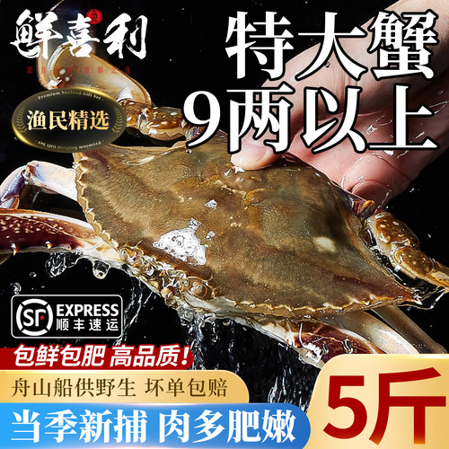 【5斤特大7-9两/只】舟山梭子蟹