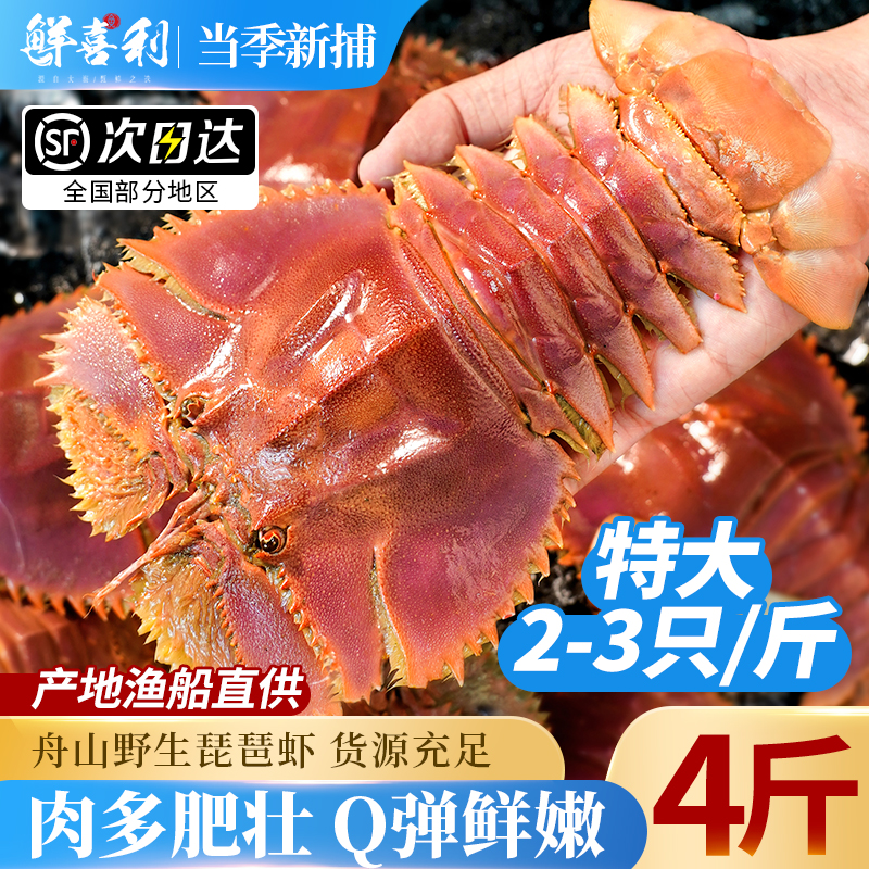 舟山琵琶虾新鲜九齿扇虾海鲜虾姑特大濑尿虾生鲜水产鲜活冷冻爬虾