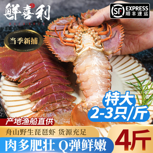 【渔船直供】大号新鲜琵琶虾