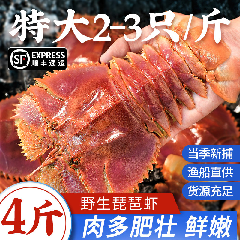 舟山琵琶虾新鲜九齿扇虾海鲜虾姑特大濑尿虾生鲜水产鲜活冷冻爬虾