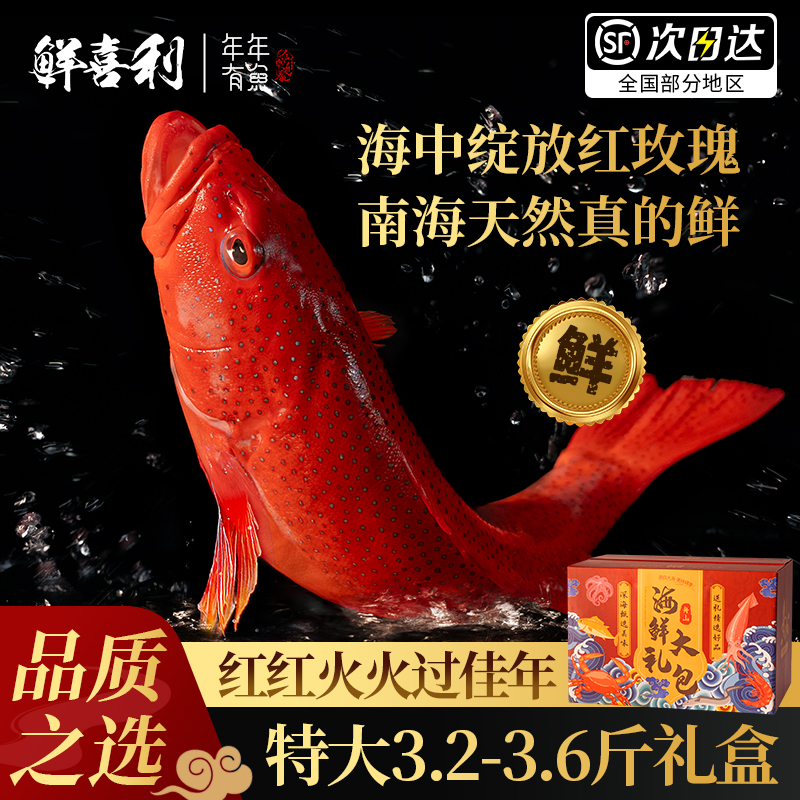 【特大2.4-2.8斤礼盒】渔船直供