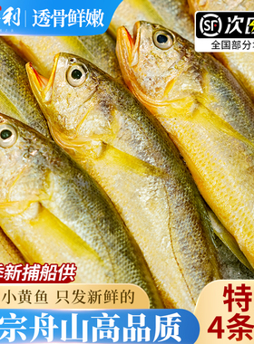 真正舟山小黄鱼新鲜冷冻深海海鲜水产黄花鱼生鲜冰鲜海鱼商用烧烤