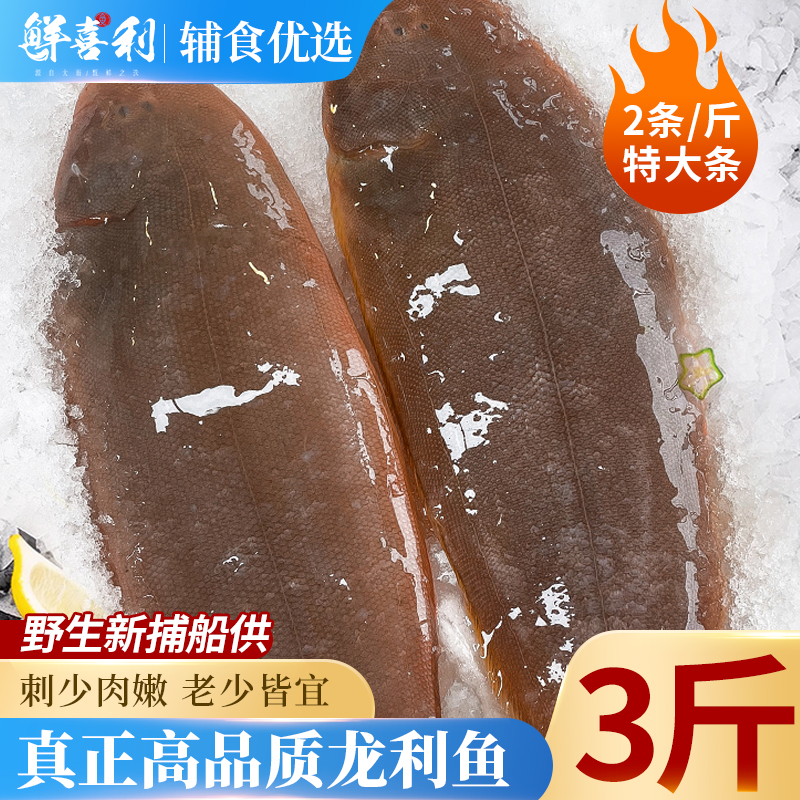 【特大2条/斤新捕船供】龙利鱼