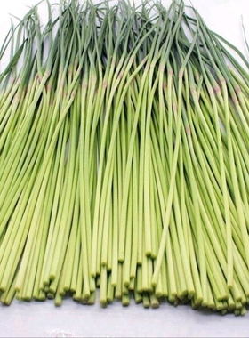 5斤包邮 新鲜现摘蒜苔蒜薹蒜台大蒜苗应季绿色特色蔬菜农产品食品