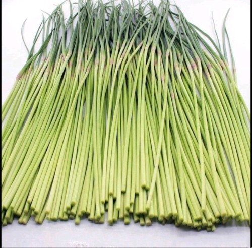 5斤包邮 新鲜现摘蒜苔蒜薹蒜台大蒜苗应季绿色特色蔬菜农产品食品
