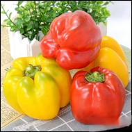 彩色辣椒圆灯笼椒特色蔬菜瓜水果冷盘拼盘沙拉配菜佐料原材料道具