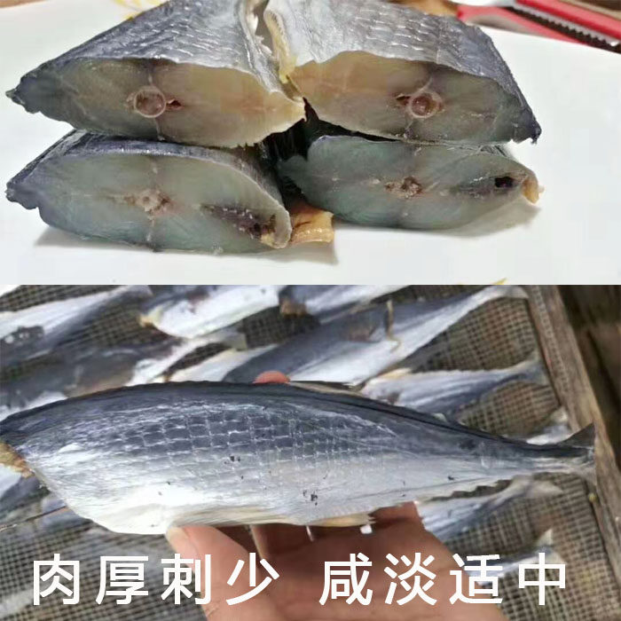 新鲜无头马胶鱼干马鲛鱼小鱼咸鱼海鲜海味水产干货特产500克
