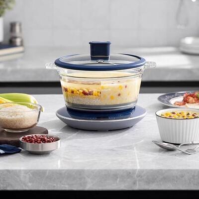 多功能养生电炖锅燕窝料理煮粥