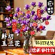 带花苞玉兰花水培鲜切花玉兰鲜枝真花过年花束盆栽客厅摆件年宵花