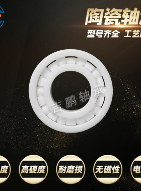 陶瓷轴承16005 16006 16007 16008 16009 氧化锆氮化硅轴承电绝缘