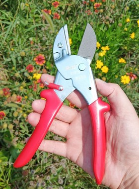 SJ813修枝剪 果树剪刀 省力修枝剪 园林园艺剪刀剪葡萄枝剪刀