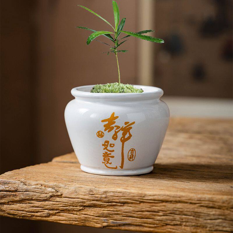 多肉花盆陶瓷创意个性造型精致釉面贴花简约透气有孔桌面装饰小盆