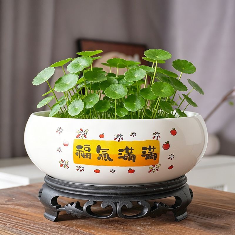 水培花盆陶瓷铜钱草无孔莲花大号缸盆碗莲睡莲一叶莲水仙花绿植盆