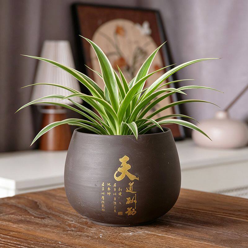 紫砂无孔水培花盆陶瓷荷花缸盆景阳台摆件吊兰铜钱草碗莲专用盆缸