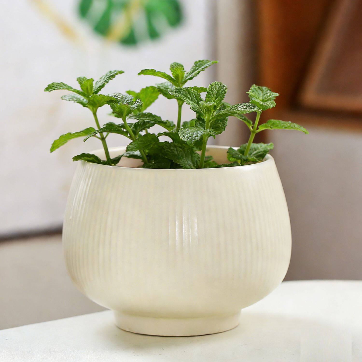 多肉花盆陶瓷南瓜创意精致釉面透气有孔桌面装饰个性造型简约轻奢