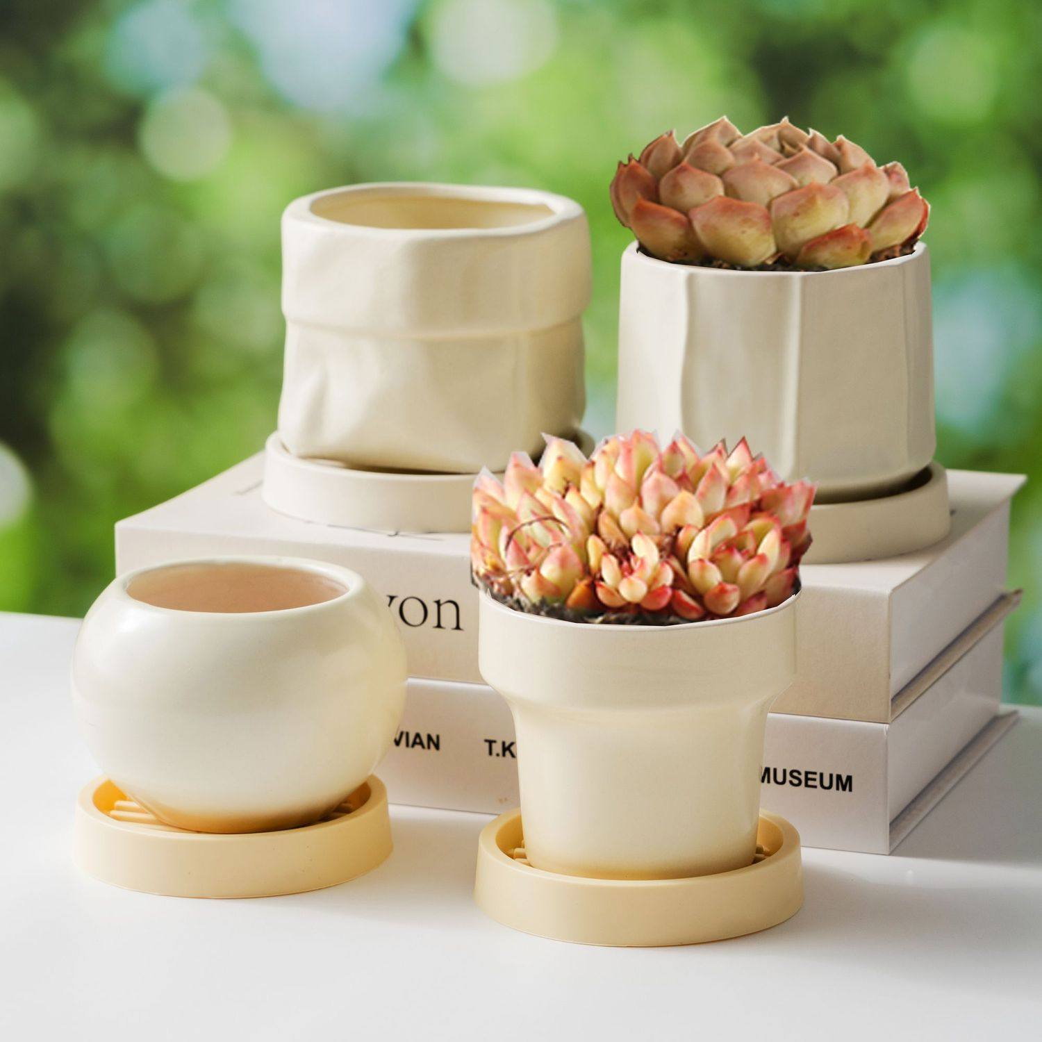 多肉绿植盆景盆ins奶油风北欧简约陶瓷花盆家用轻奢蝴蝶兰梦香兰,鲜花速递/花卉仿真/绿植园艺,花盆,淘宝优惠券,粉丝福利购,淘宝优惠卷