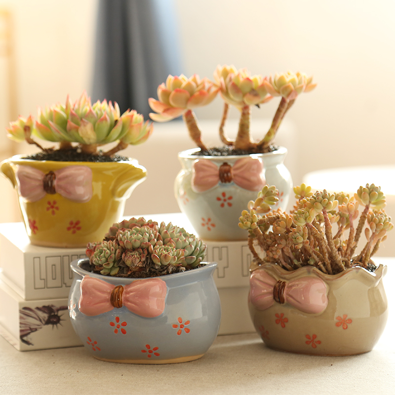句号捏花粗陶透气简约风多肉花盆