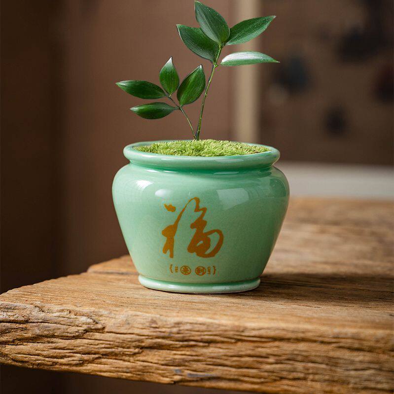 多肉花盆陶瓷创意透气有孔精致釉面贴花个性造型简约桌面装饰小盆