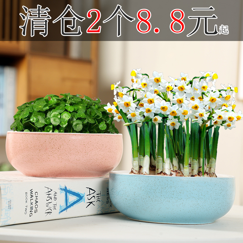 简约陶瓷特价清仓水培